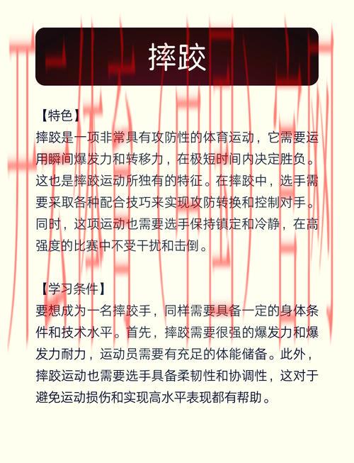 开云体育平台赛事,深度剖析体育比赛的历史与文化